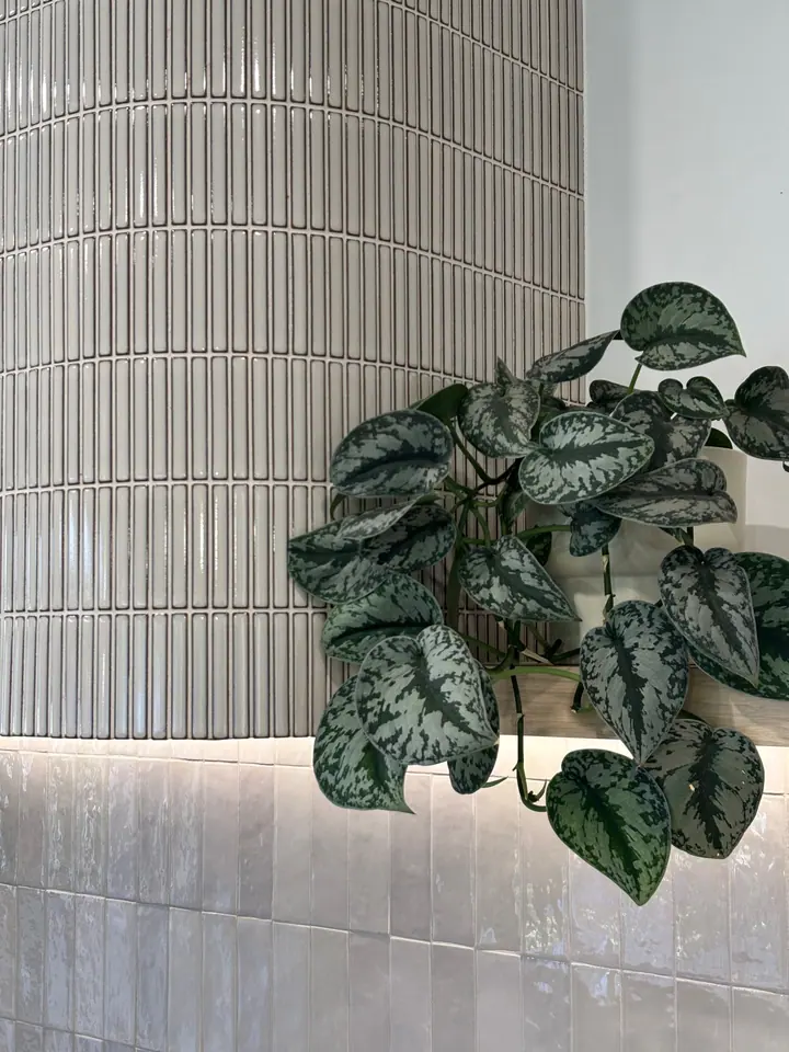 Close-up of gloss finger tiles wrapped around a curved rangehood