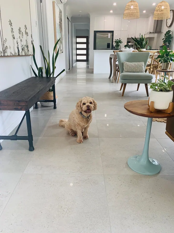 Open-plan living and dining area with large-format light floor tiles